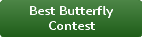 Best Butterfly Contest