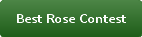 Best Rose Contest Best Rose Contest